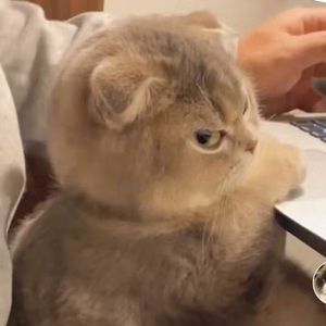 Meet your Posher, Diego